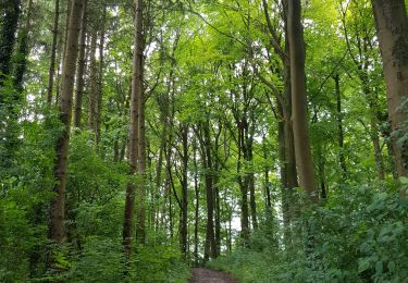 Tour Wandern Vaals - 2021-07-14_08h55m00_1431 - Photo