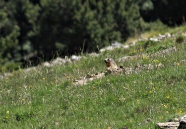 Excursión Senderismo Eyne - La vallée d'Eyne - Photo