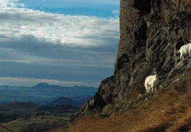 Percorso A piedi Mauzun - Le Chateau de Mauzun - Photo