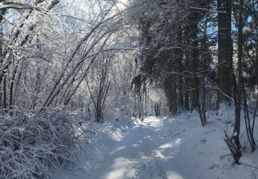 Trail Walking Amel - Alentours Schoppen - Photo