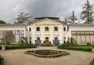 Tour Zu Fuß Gemeinde Zwettl-Niederösterreich - Buche-Eiche 4 - Photo