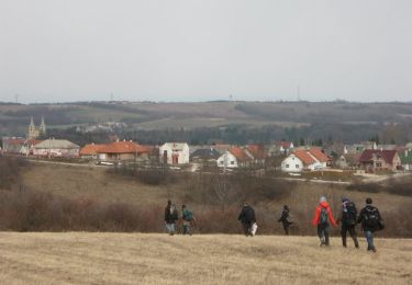 Percorso A piedi Zirc - Reguly Antal Emlékút-Zirc35 túraútvonal - Photo