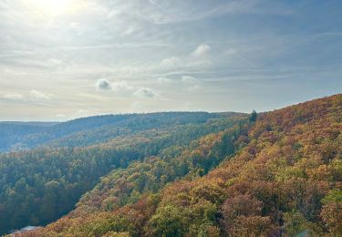 Percorso A piedi Brno - 5 km červená - Photo