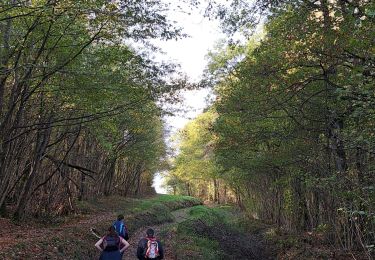 Tour Wandern Hastière - GR RB 11 Namur : La vallée de l'Hermeton - Photo