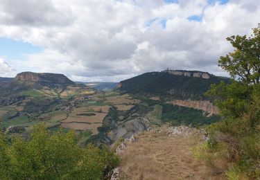 Randonnée Marche La Cresse - la cresse, belvédère de caylus - Photo