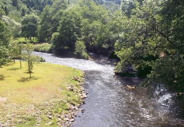 Trail Walking Chapdes-Beaufort - Chapdes_Beaufort_Chartreux - Photo