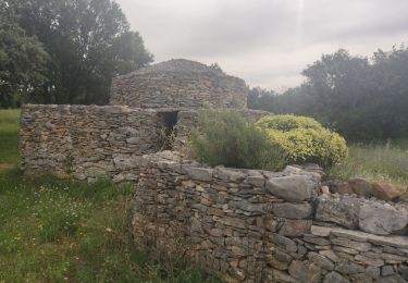 Randonnée Marche Nîmes - Le Clos de Gaillard - été - Photo