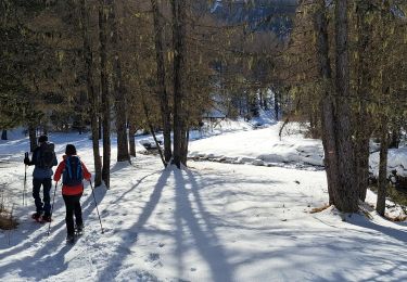 Percorso Racchette da neve Méolans-Revel - EMBRUN JOUR 5 : Valon du Lavercq - Photo