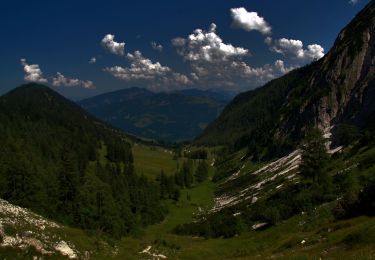 Randonnée A pied Gemeinde Kössen - Walchsee - Habersauertal - Feldalm - Feldalmsattel - Photo