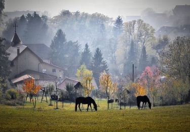 Randonnée A pied Zagreb - Planinarska staza Medvednica 14 - Photo