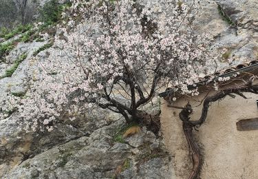 Tour Wandern Moustiers-Sainte-Marie - 2023-03-11 Moustiers - Vincel - Venascle  - Photo