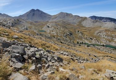 Excursión Senderismo Colmars - clignon encombrette - Photo