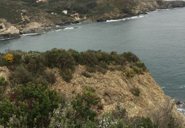 Trail Walking Port-Vendres - Port cendres de la mer à la montagne - Photo