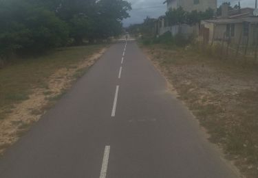 Percorso Bici da strada Le Grau-du-Roi - 30 vélo lunel gte motte a morte - Photo