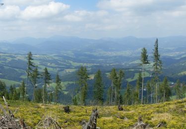 Tour Zu Fuß St. Radegund - Wanderweg 21 - Photo