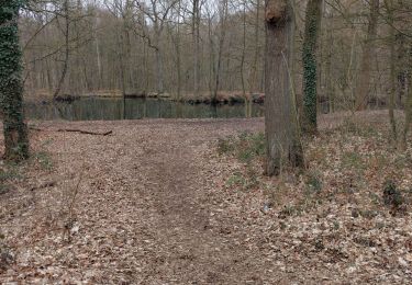 Tour Wandern Fleurus - Soleilmont  seniors - Photo