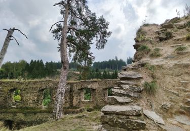 Excursión A pie Konstantinovy Lázně - NS Šipín - Photo