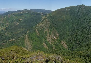 Tour Zu Fuß Folgoso do Courel - Ruta da Devesa da Rogueira - Photo