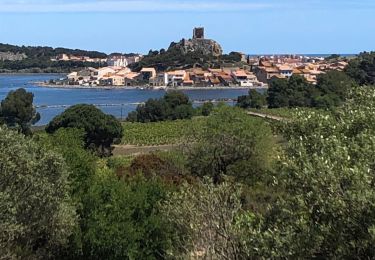 Tour Wandern Gruissan - 20210512 île saint-Martin- Gruissan - Photo