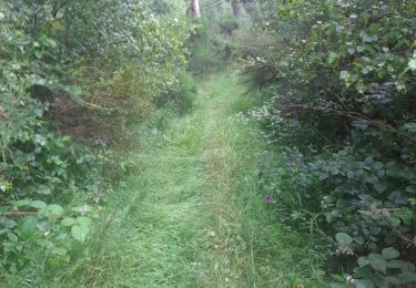 Excursión Senderismo Paliseul - Marche ADEPS à Carlbourg. 9 km 200 - Photo