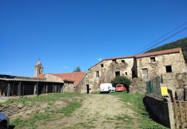 Randonnée Marche Amélie-les-Bains-Palalda - A/R Roc St sauveur  - Photo