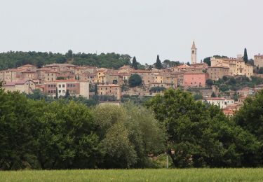 Randonnée A pied Rapolano Terme - IT-506 - Photo