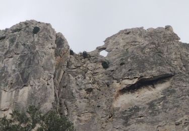 Trail Walking Gigondas - Dentelles de Montmirail  - Photo