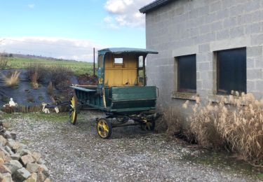 Percorso Marcia Gesves - Randonnée dans la vallée du Samson - Photo