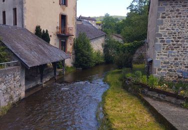 Trail Trail Ferrières-sur-Sichon - circuit du moulin neuf  - Photo