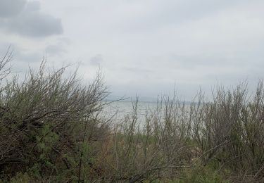 Trail Walking Peyriac-de-Mer - Peyriac - Photo