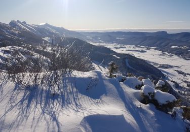 Trail Snowshoes Lans-en-Vercors - Le Belvédère des Cimes par la cabane des Ramées et retour par la Croix des Ramées  - Photo