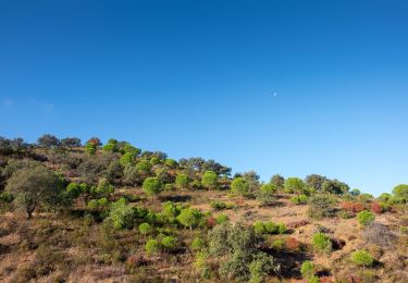 Trail On foot Odeleite - Barrancos - Photo