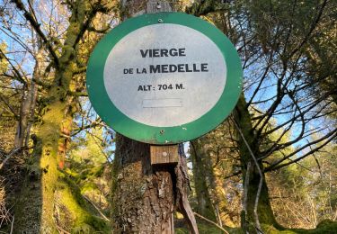 Trail Walking Le Syndicat - Les roches de Mortevieille - Photo