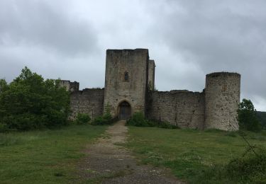 Randonnée Marche Puivert - Château de Puivert - Photo