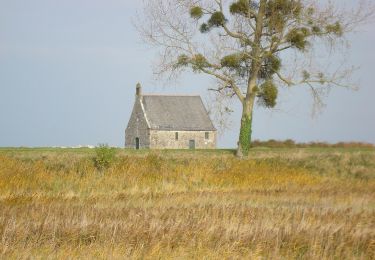 Randonnée A pied Saint-Broladre - La chapelle Sainte-Anne - Photo