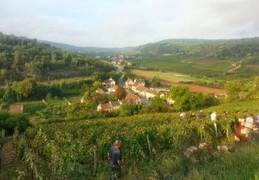 Tour Zu Fuß Meursault - Sentier Meursault-Blagny - Photo