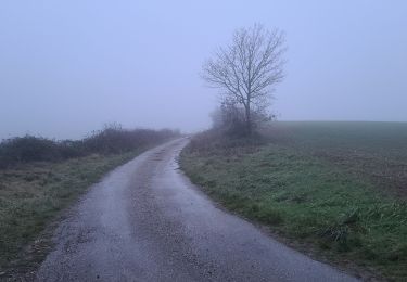 Tocht Stappen Saulny - saulny usine de verre - Photo