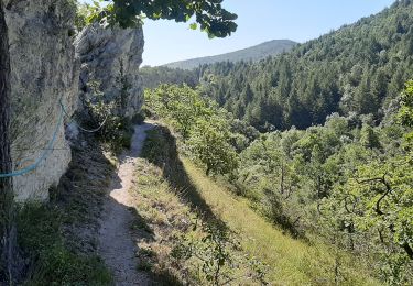 Tocht Stappen Laffite-Toupière - Sentier des Crêtes - Auderette  - Photo