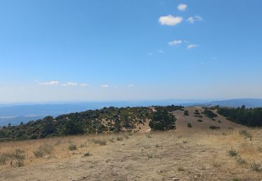 Excursión Senderismo Auribeau - Moure Negre - Photo