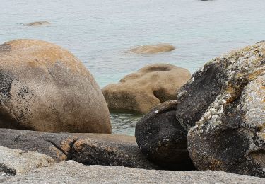 Randonnée Marche Plounéour-Brignogan-Plages - 07.07.19. Brignogan-Plage à Phare Pontusval - Photo