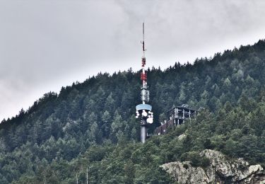 Tour Zu Fuß Martigny-Combe - Chemin pédestre de montagne, région Martigny - Photo