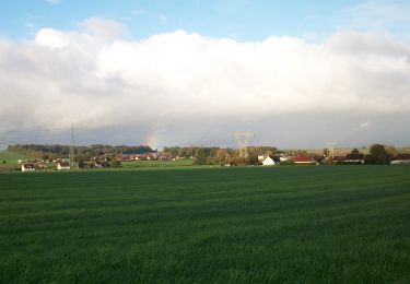 Tour Wandern Duclair - 20221103-Duclair Le Taillis - Photo