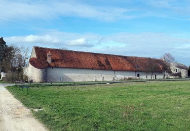 Randonnée A pied Huisseau-sur-Cosson - Château de Saumery - Photo