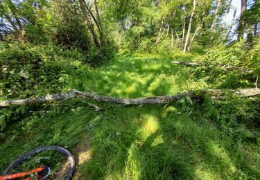Trail Mountain bike Ger - geroise14 2023 - Photo