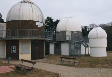 Tocht Te voet Welzheim - Geologischer Pfad - Photo