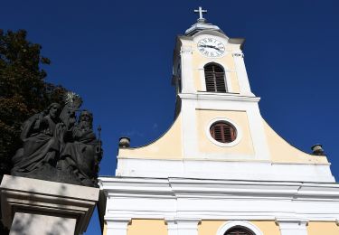 Tour Zu Fuß Adam - P■ Adony - Photo