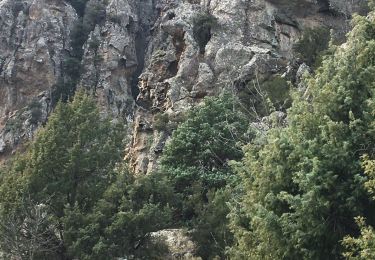 Excursión Senderismo Popolasca - Popolasca - Photo