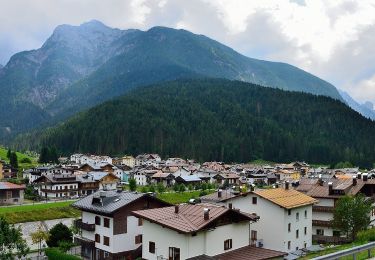 Excursión A pie Santo Stefano di Cadore - IT-331 - Photo