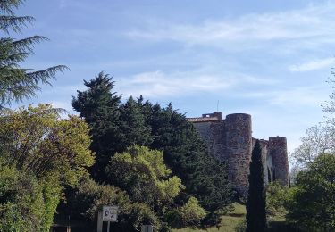 Excursión Senderismo La Capelle-et-Masmolène - la Capelle Masmolène - Photo