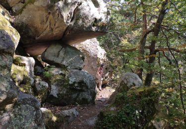 Tocht Stappen Fontainebleau - Forêt de Fontainebleau tour de Denecourt 21-09-19.ori - Photo